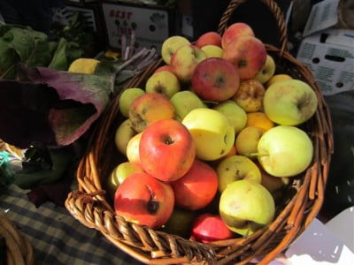 20111106_1031 (Small)