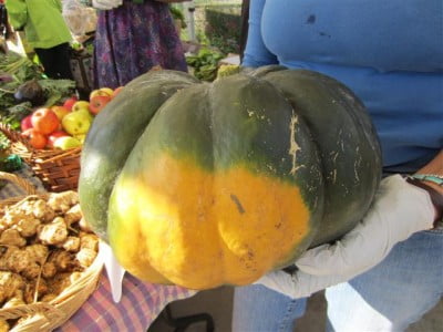 20111106_1039 (Small)