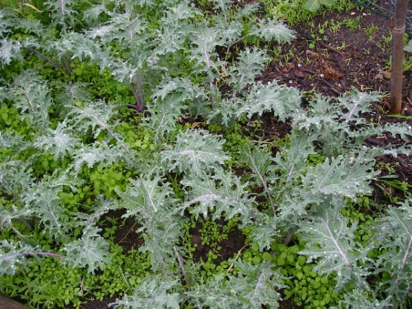 P1010038