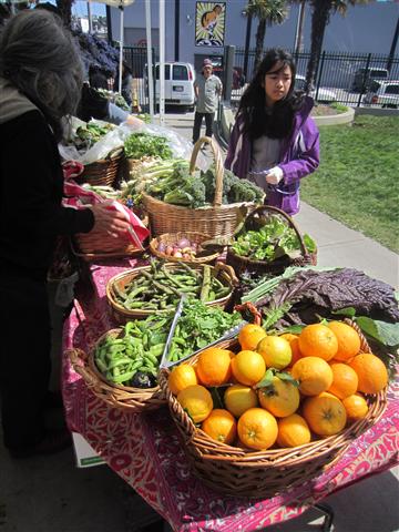 20120401_ffs_0514 (Small)