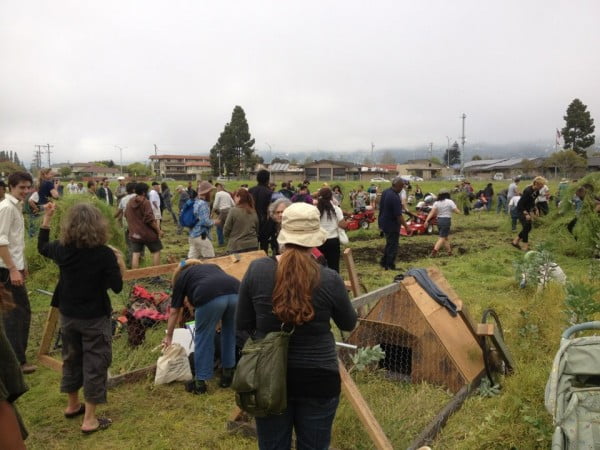 occupythefarm