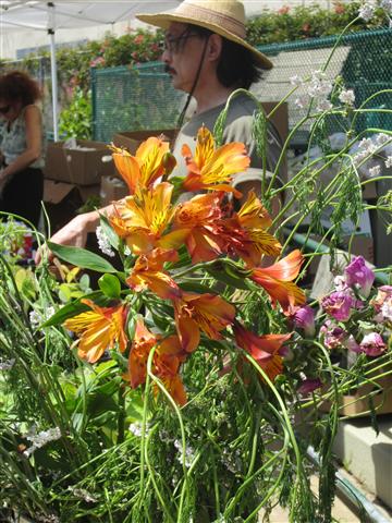 20120506_0576 (Small)