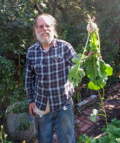Tree with turnip at All in Common Garden
